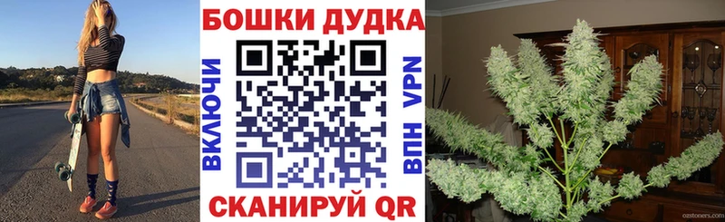 где купить наркоту  omg рабочий сайт  МАРИХУАНА ГИДРОПОН  Котельниково 